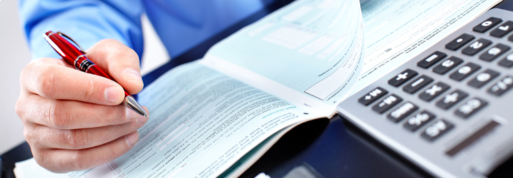 The Accountancy Profession